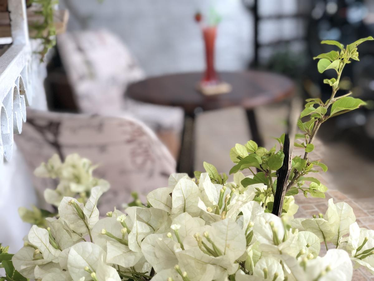 Doc May By Yolohotels Đà Lạt Ngoại thất bức ảnh